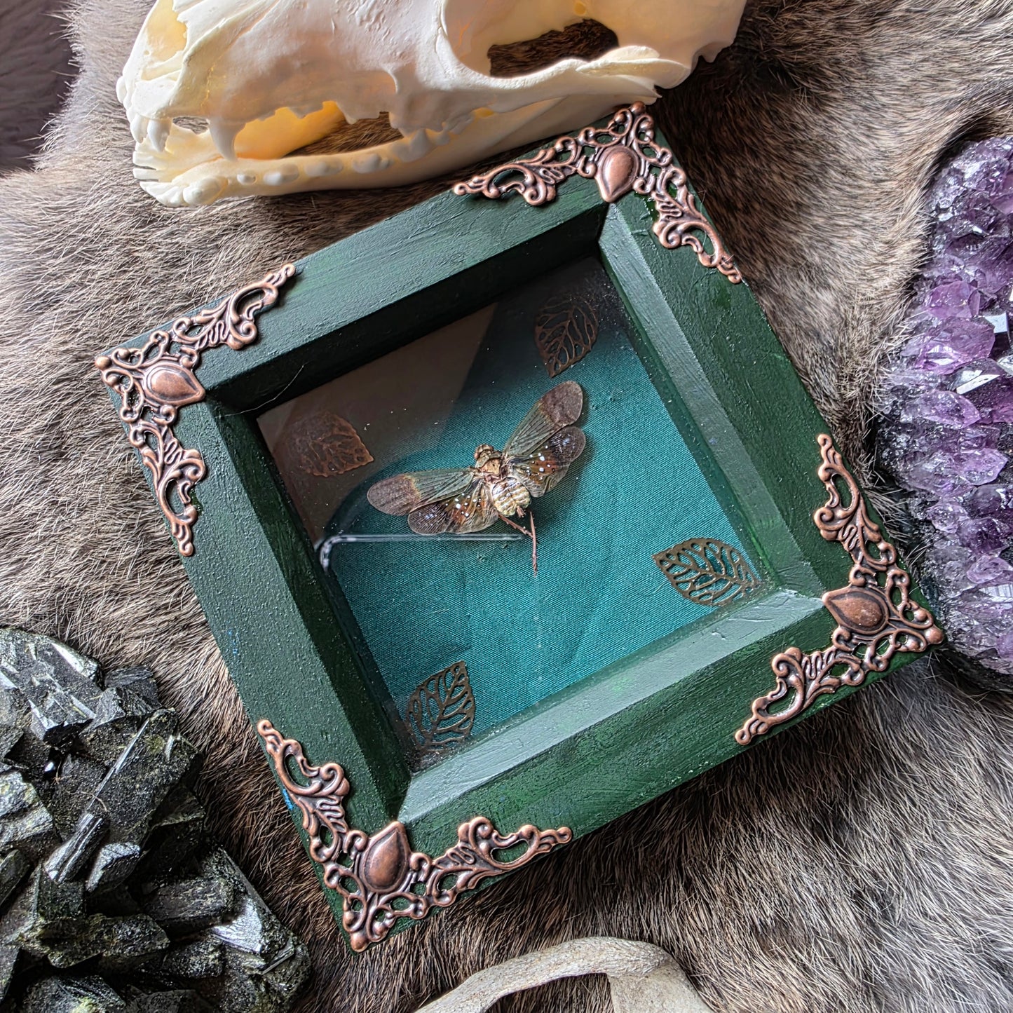 Green Orange Lantern Fly Frame