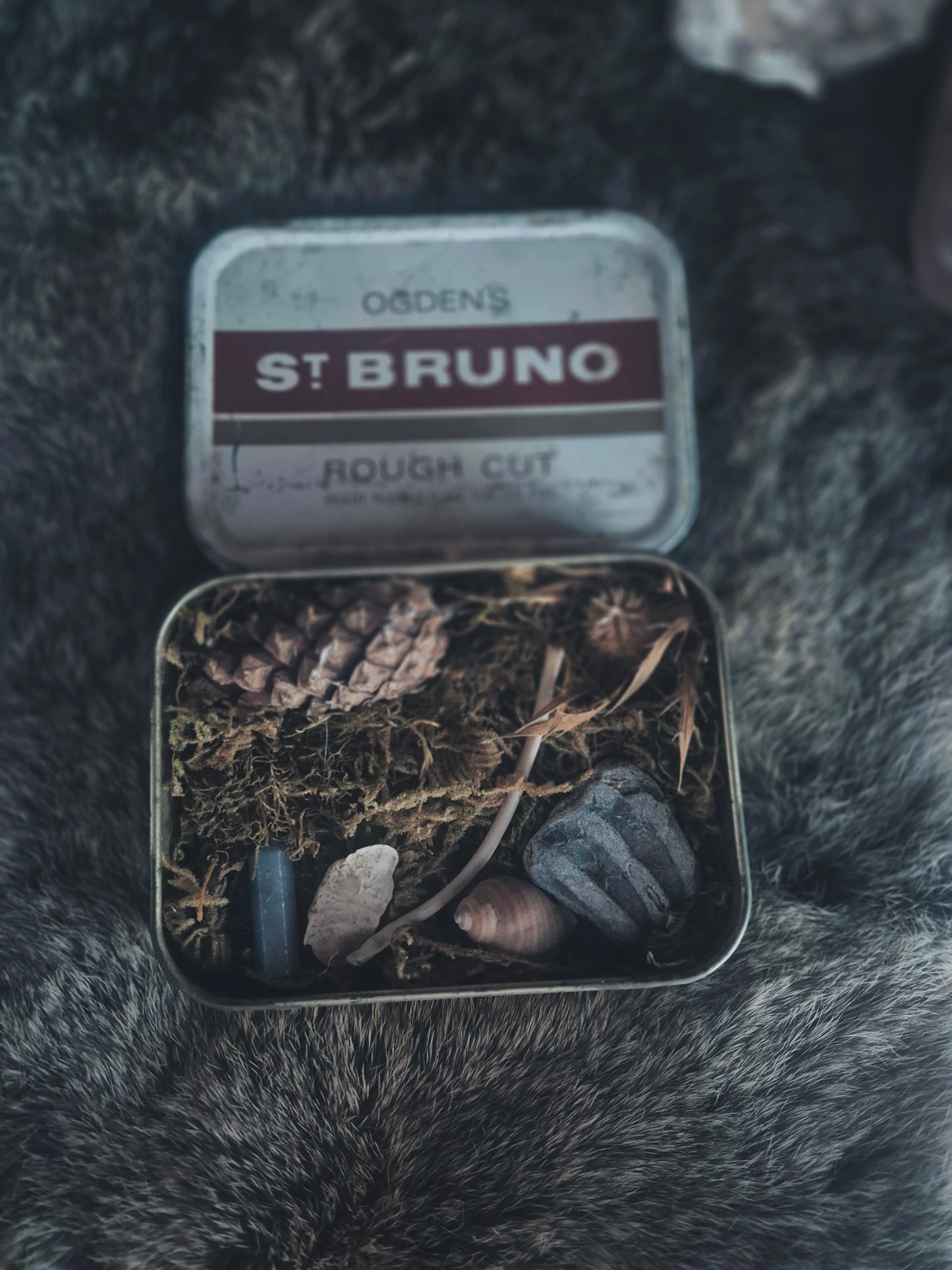 Curio Tin
