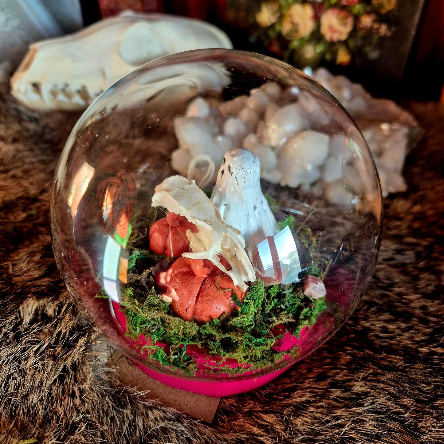 Rat Skull Bubble Dome