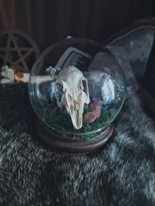 Rabbit Skull Dome