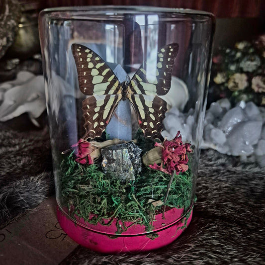 Bluebottle Butterfly Jar