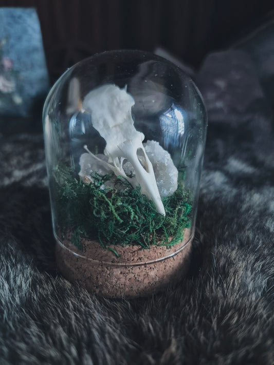 Crow Skull Dome