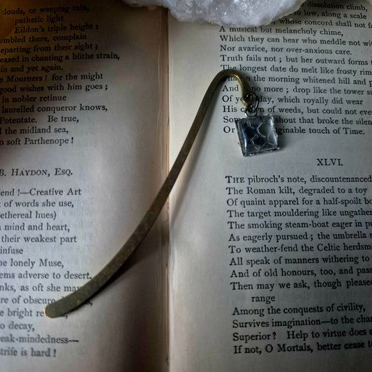 Snake Skin Bookmark