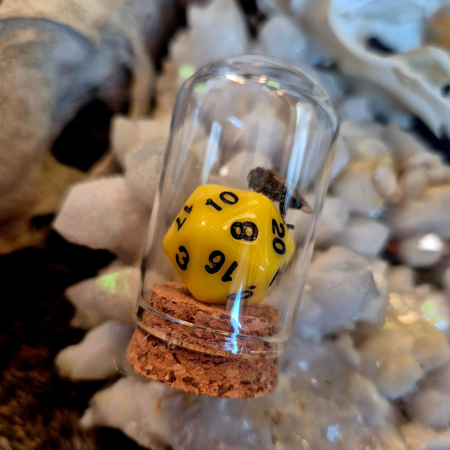 D&D Dice Bee Dome