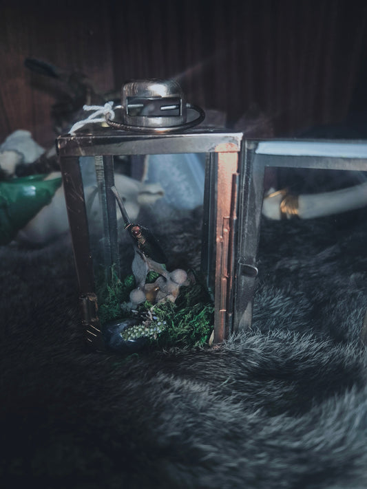 Small Curio Lantern