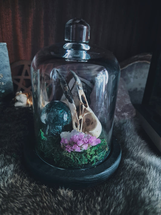 Crow Skull Dome