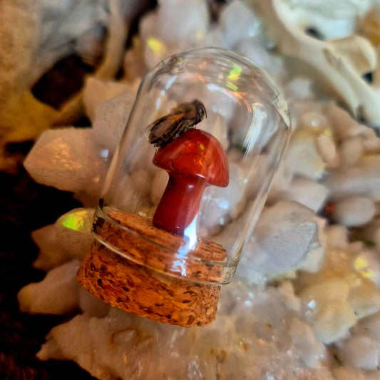 Jasper mushroom Bee Dome