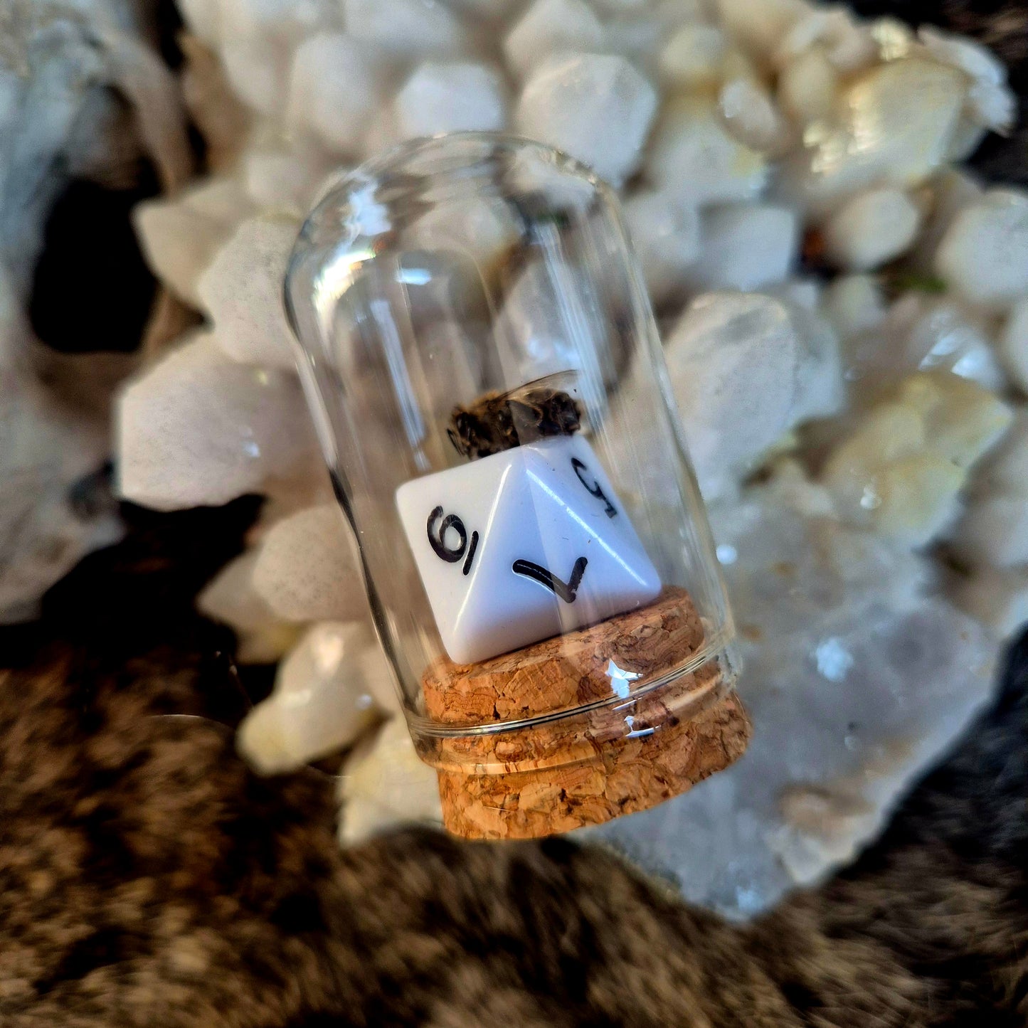 D&D Dice Bee Dome
