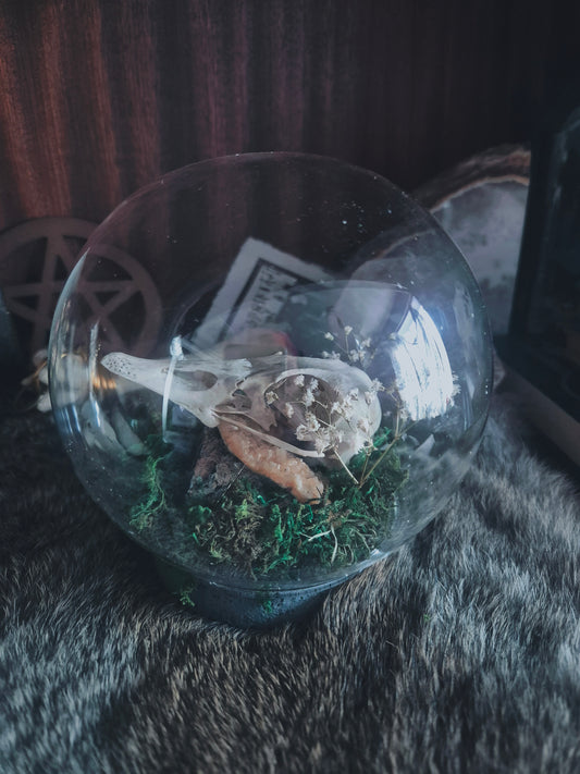 Goose Skull Dome