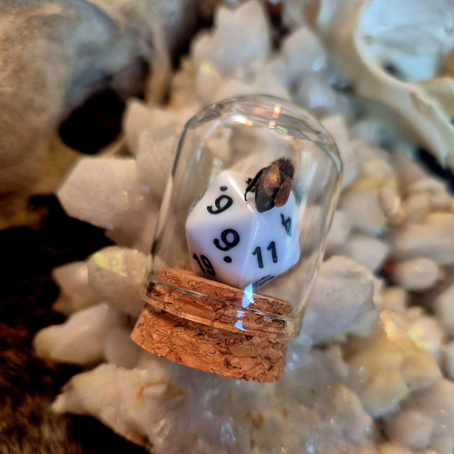 D&D Dice Bee Dome