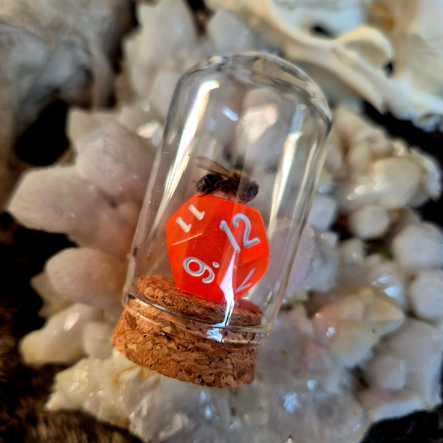 D&D Dice Bee Dome