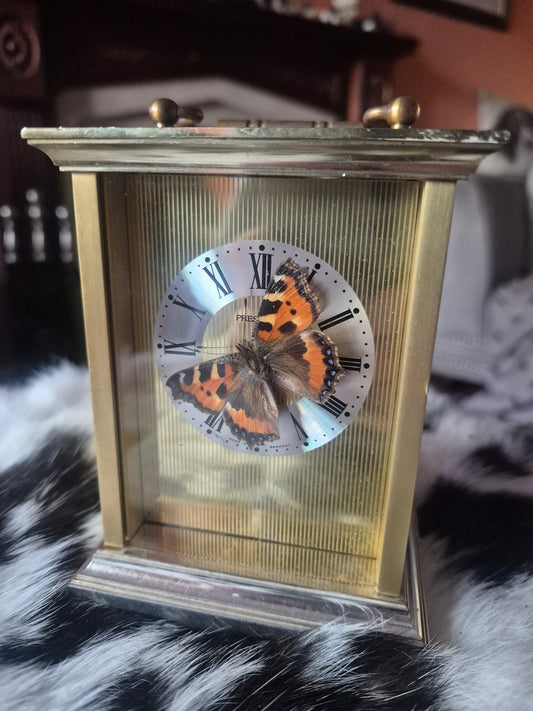 Tortoise Shell Clock