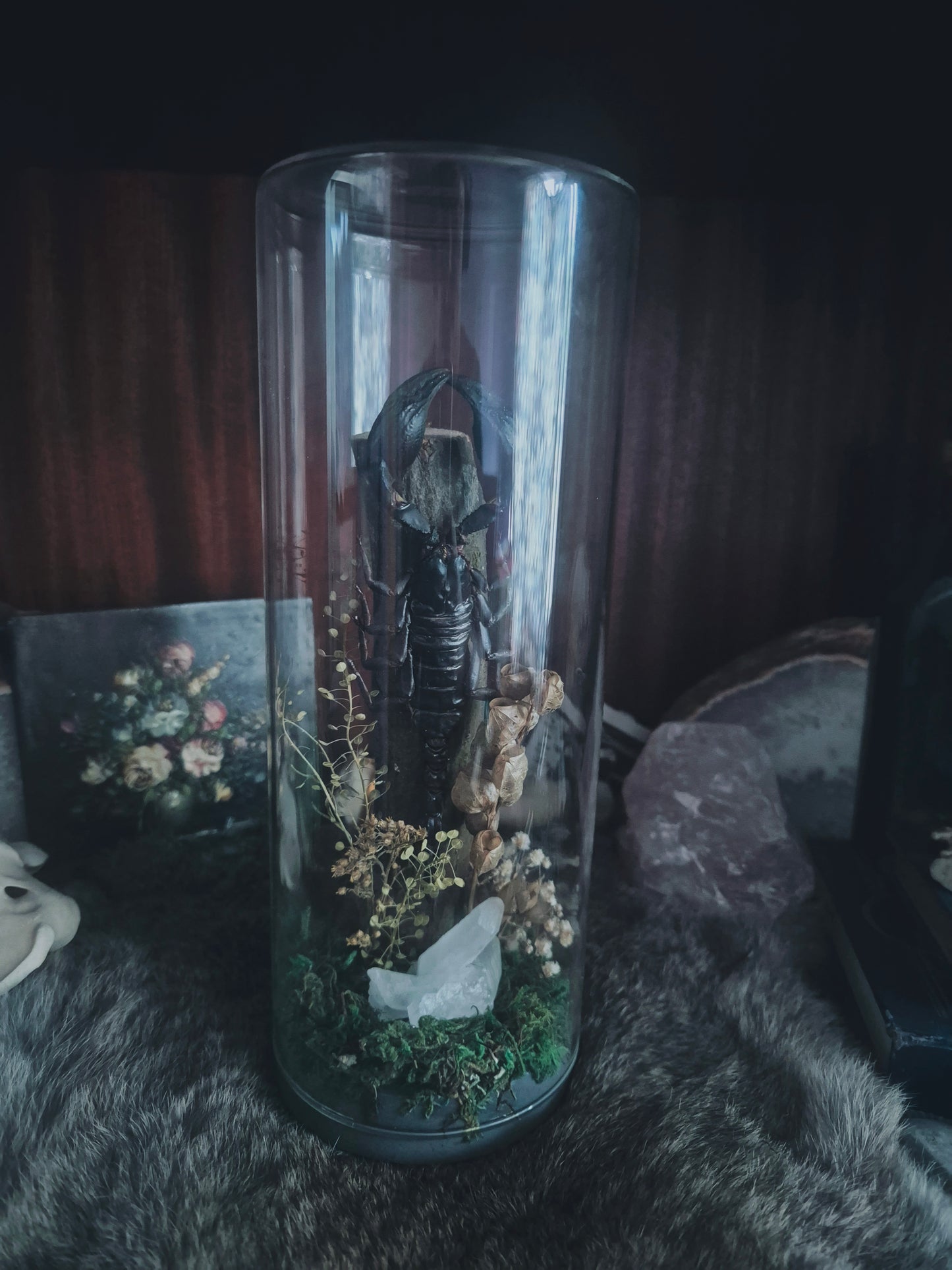 Scorpion Dome