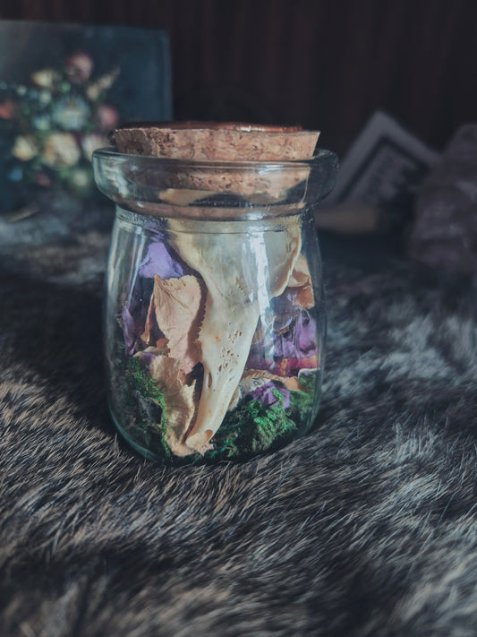Rabbit Jaw Jar