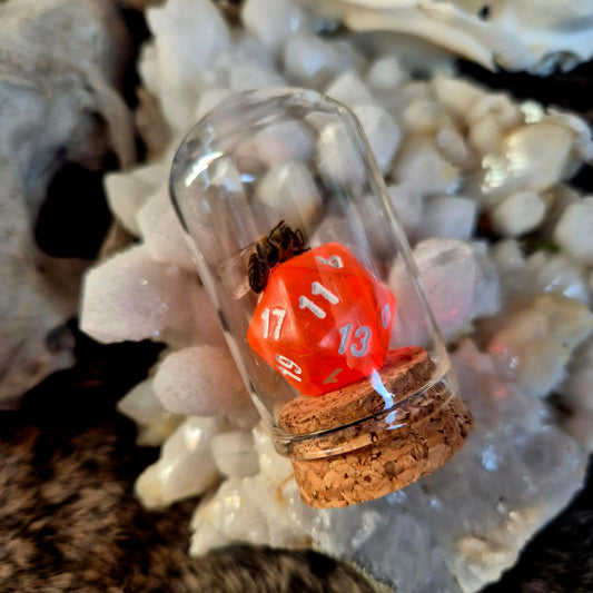 D&D Dice Bee Dome