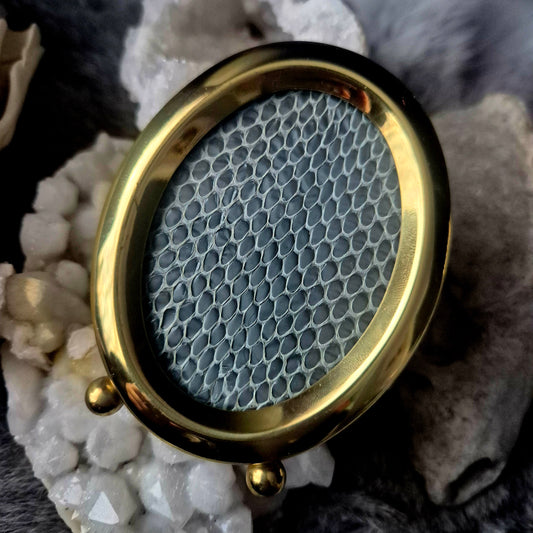 Snake Skin Mini Frame