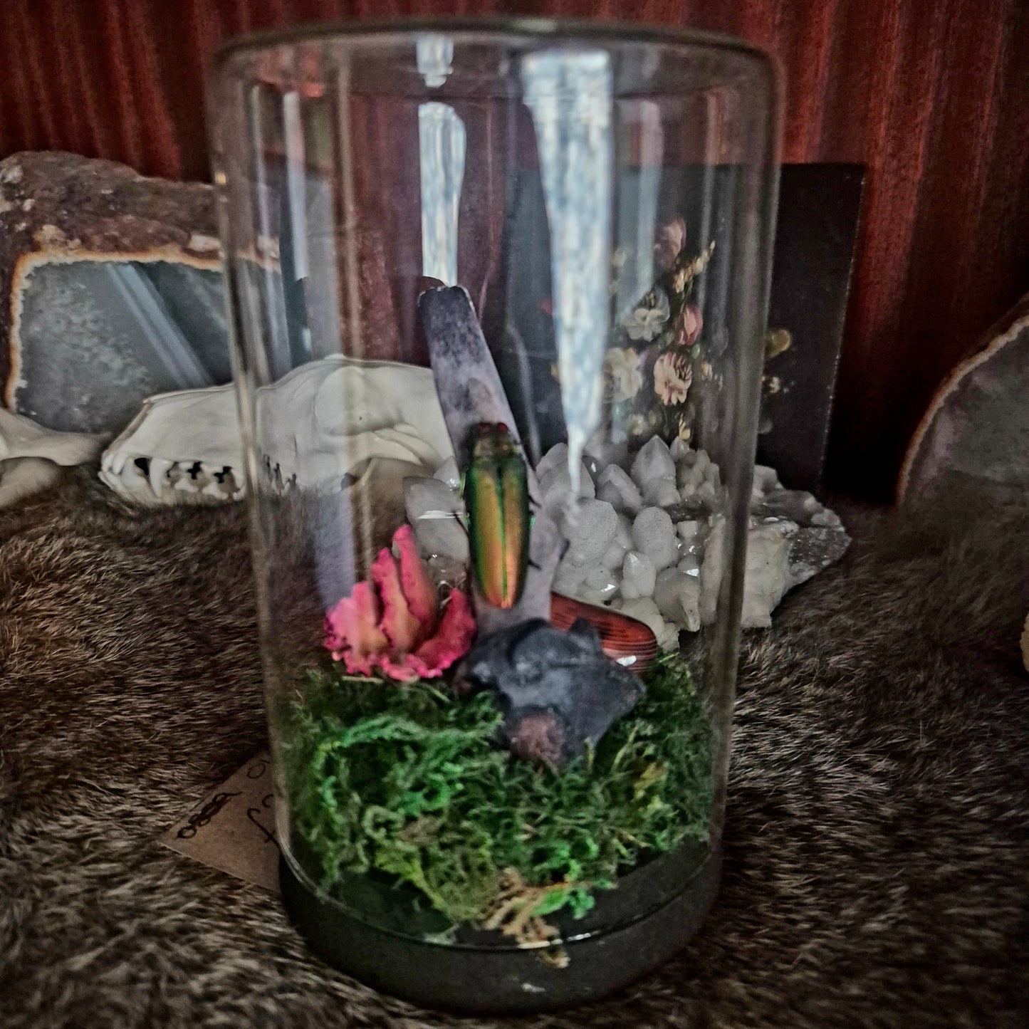 Rainbow Chromatic Beetle Jar