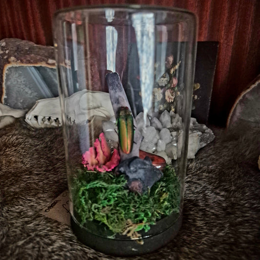 Rainbow Chromatic Beetle Jar