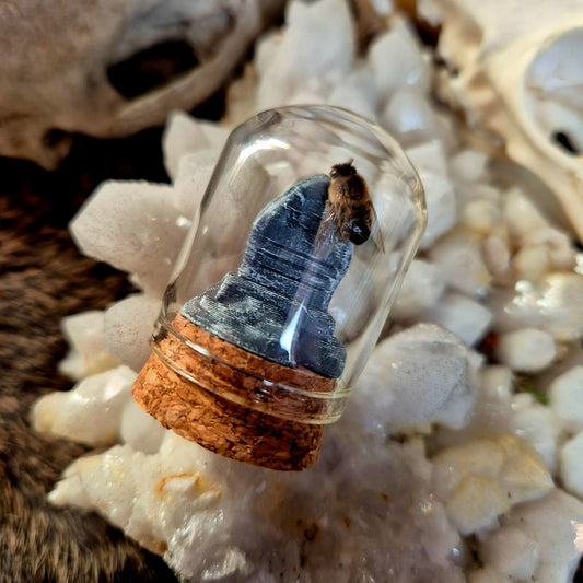 Gravestone Bee Dome