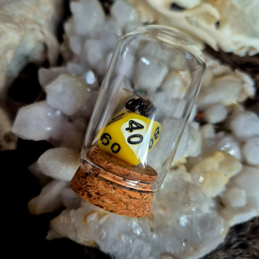 D&D Dice Bee Dome