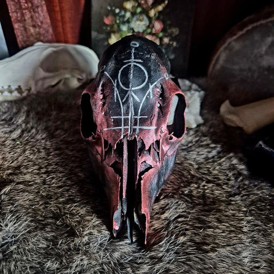 Hand Painted Roe Deer Skull