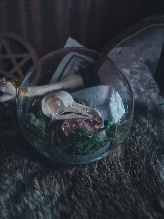 Pigeon Skull Dome