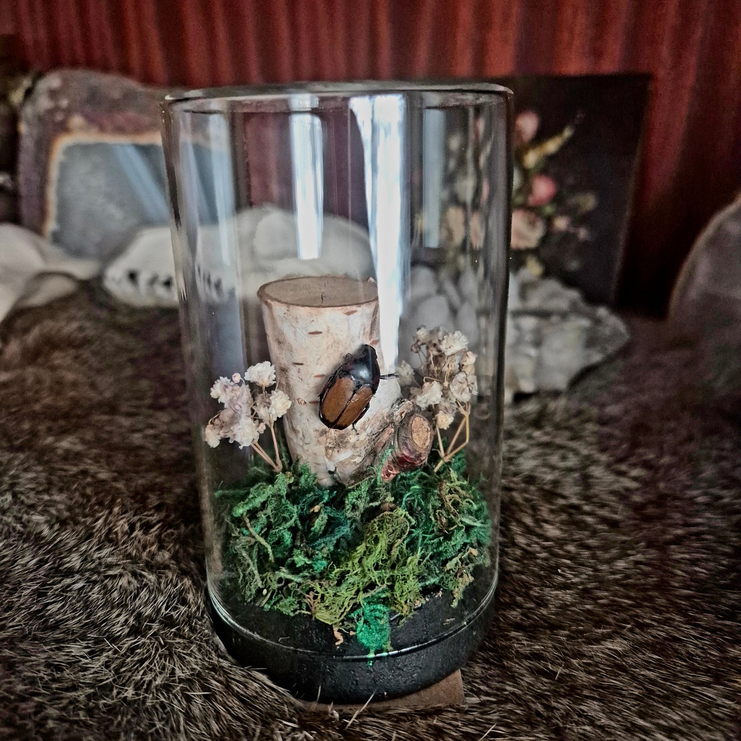 Flower Chafer Scarab Jar
