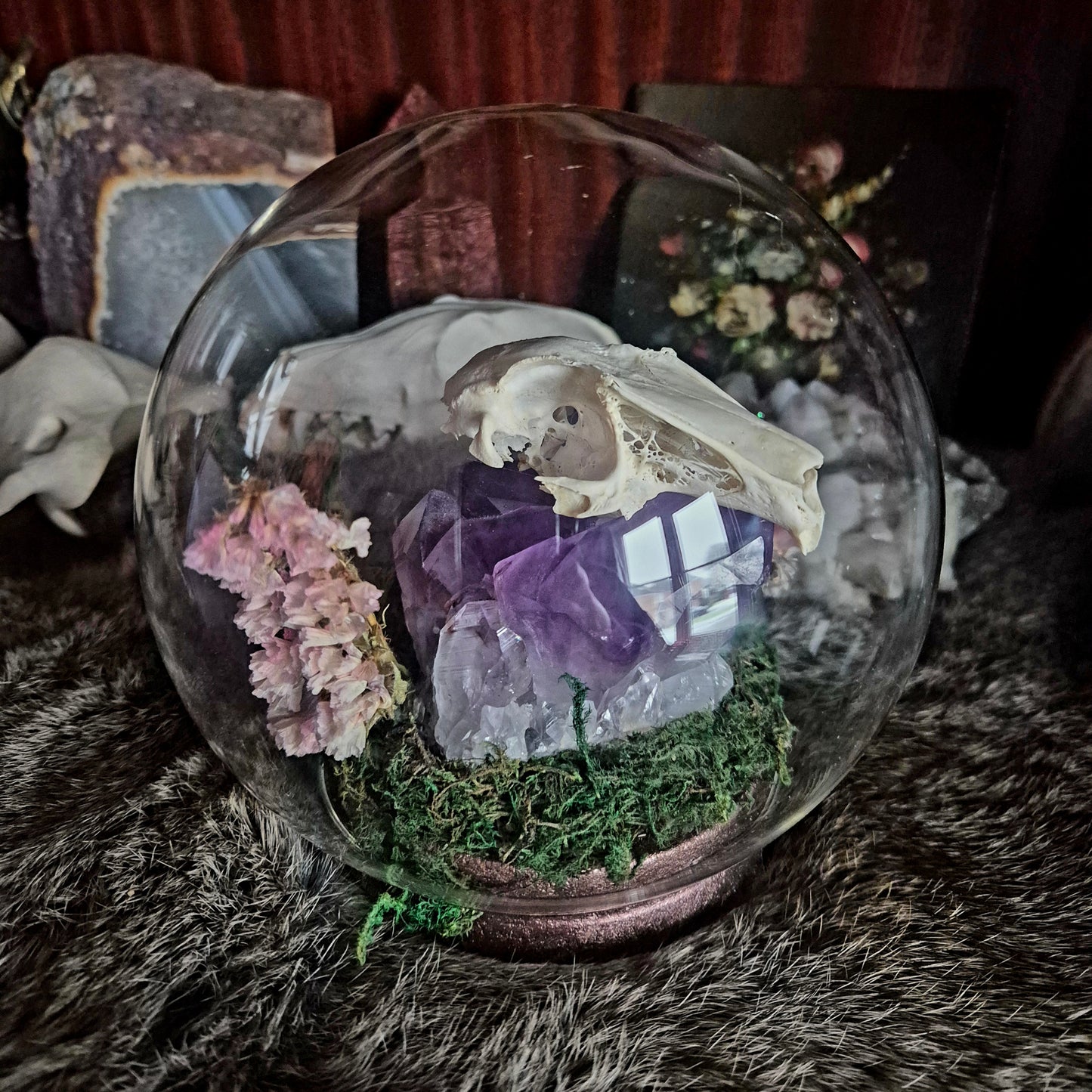 Rabbit Skull Bubble Dome