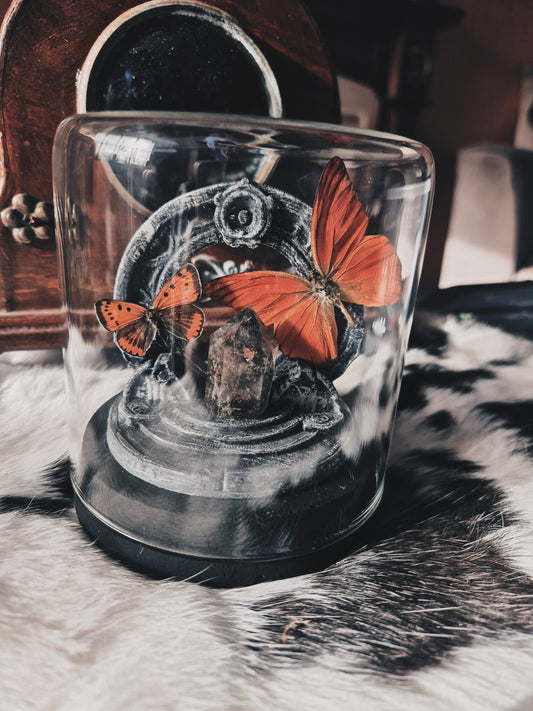 Butterflys on Portal