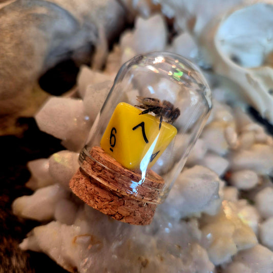 D&D Dice Bee Dome