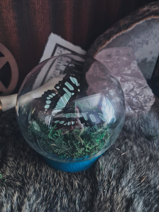Butterfly Dome