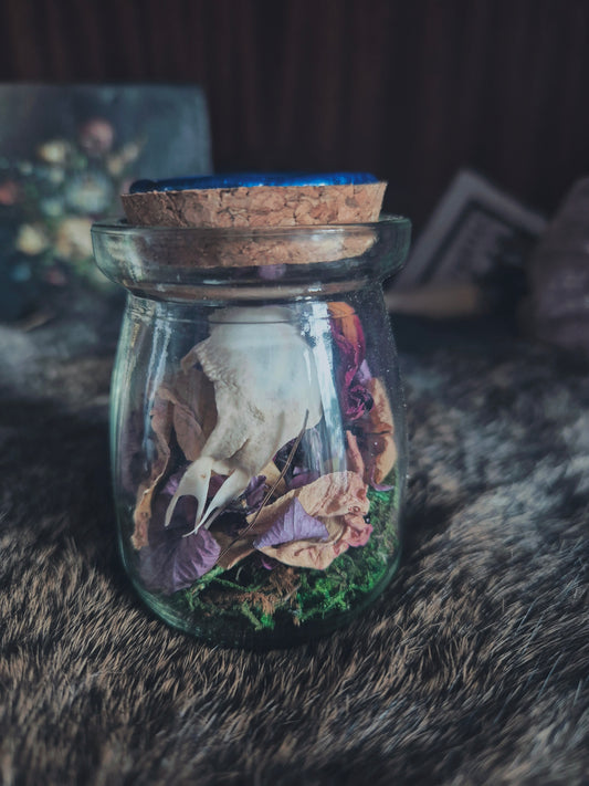 Partial Pheasant Skull Jar