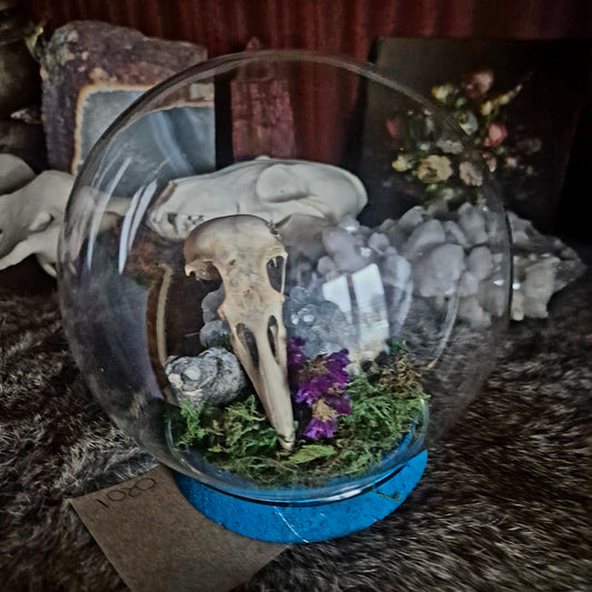Crow Skull Bubble Dome