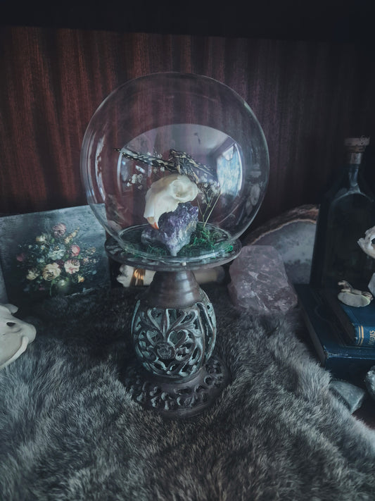 Squirrel Skull and Butterfly on Stand