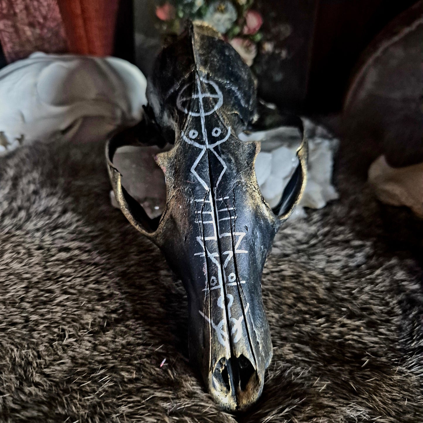 Hand Painted Fox Skull