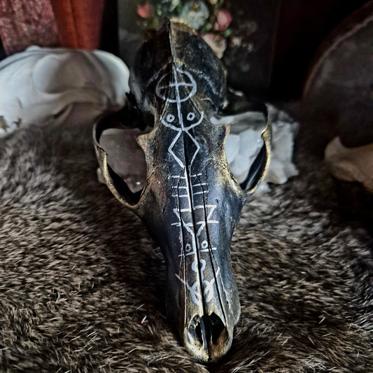 Hand Painted Fox Skull