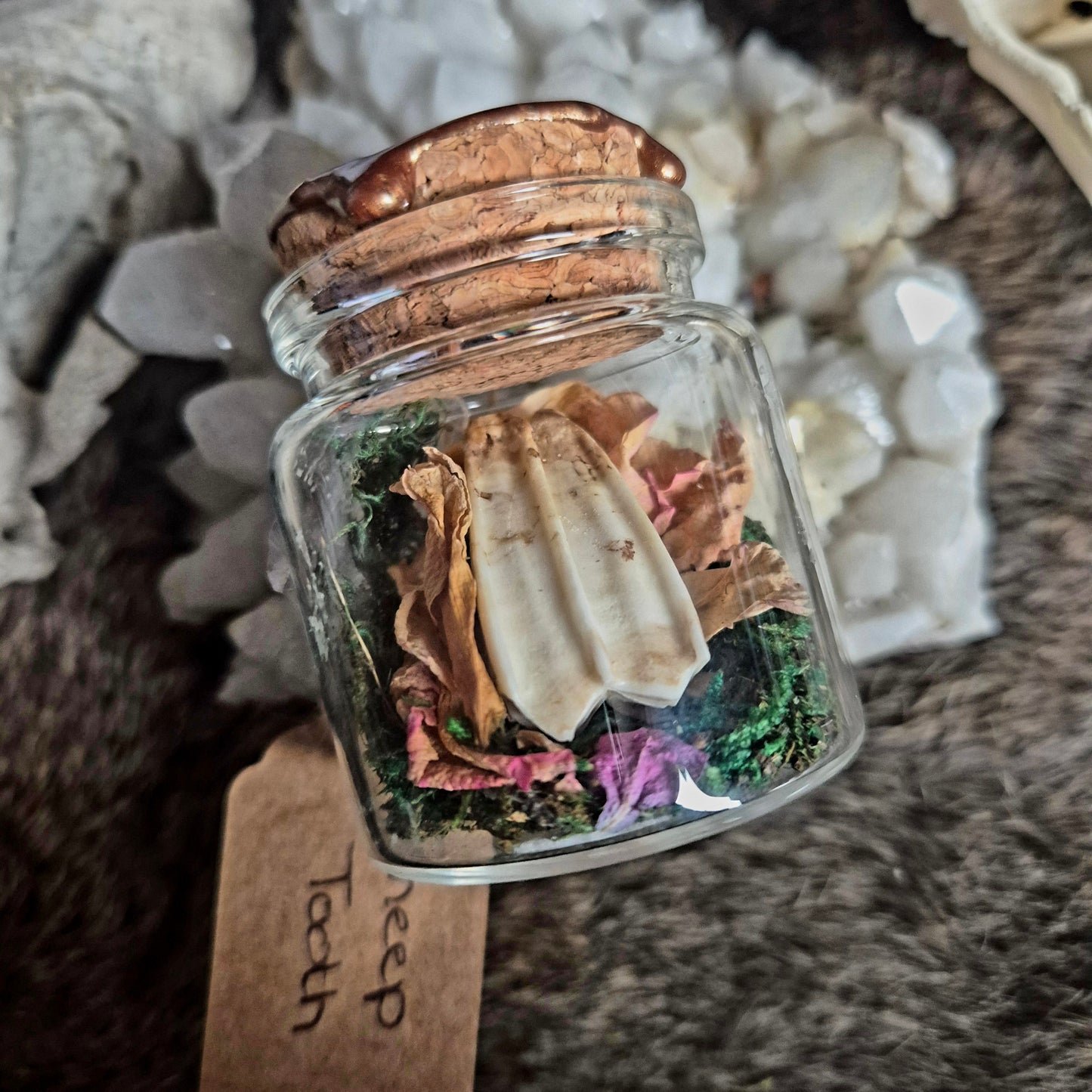 Sheep Tooth Jar