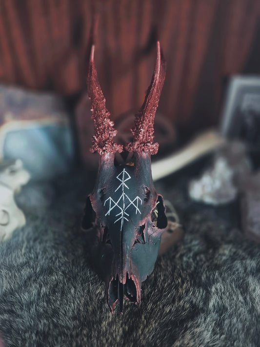 Runic Painted Roe Deer Skull