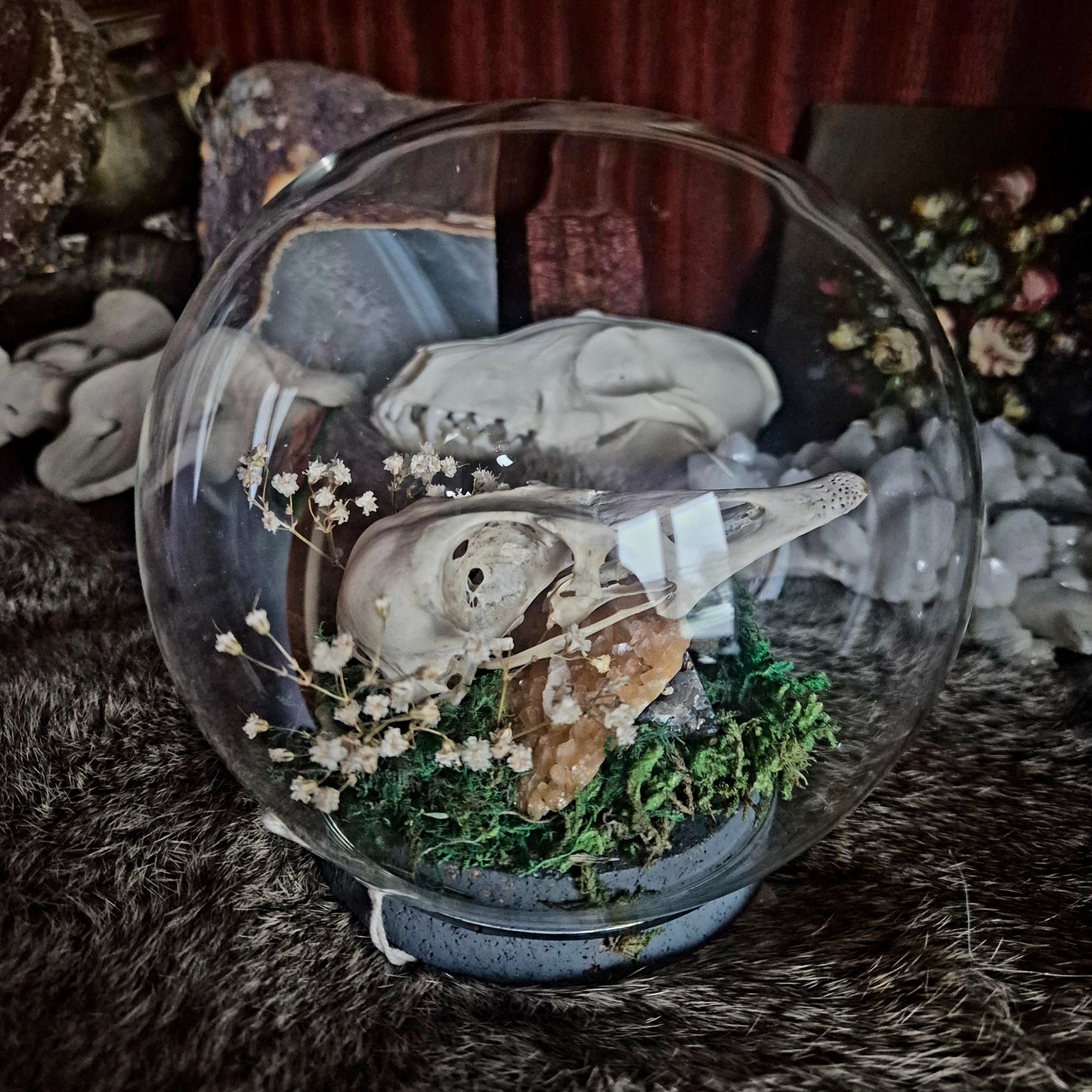 Goose Skull Bubble Dome