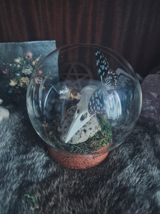 Crow Skull and Butterfly Dome
